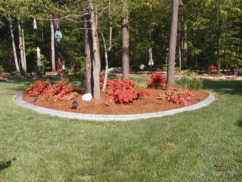 Mulched Tree Islands