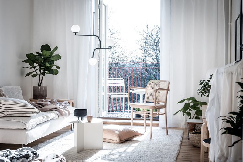 Natural Light Abundance