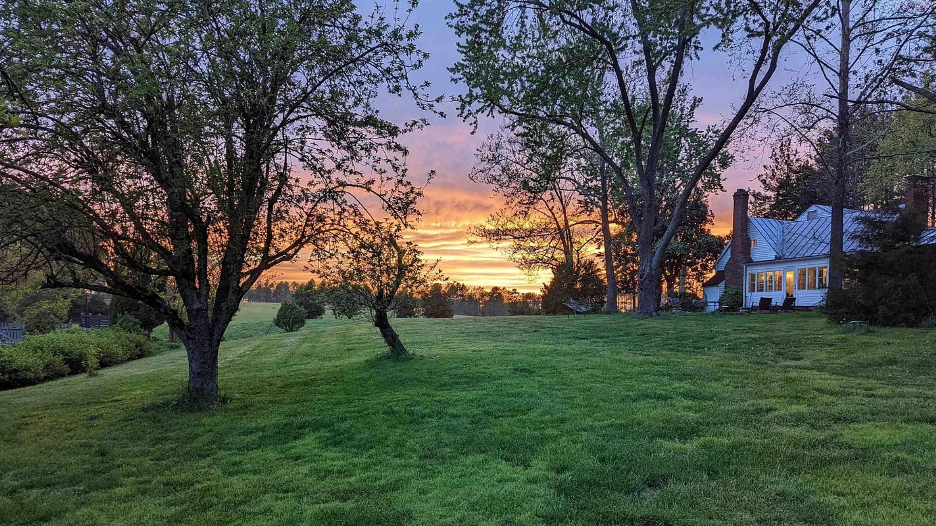 trees in front of the house at dusk