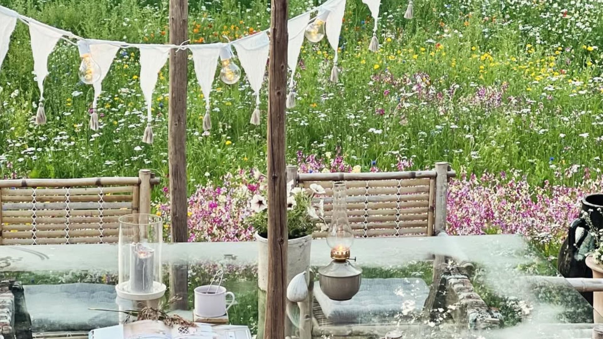 garden with wildflowers