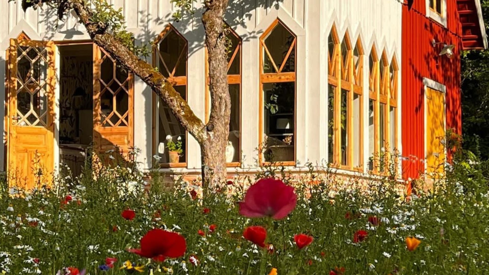cottage in the floral meadow