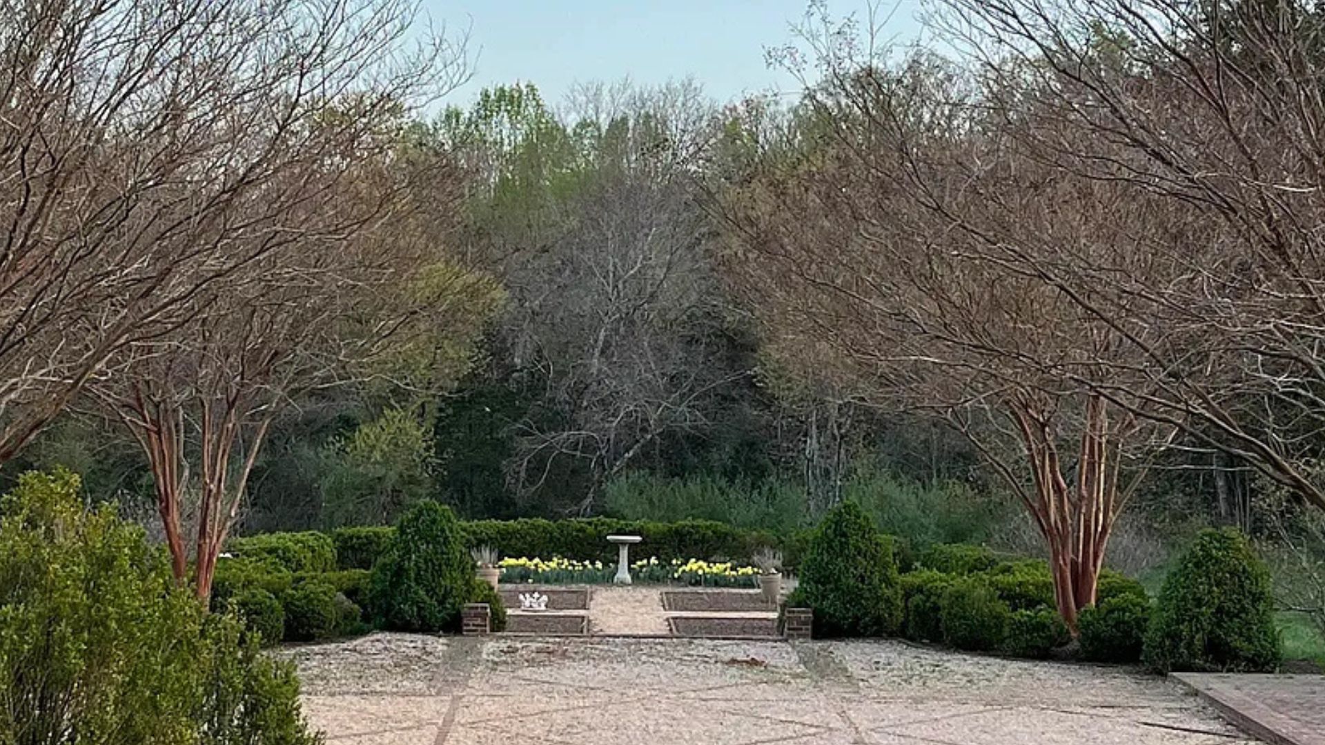 garden behind the house