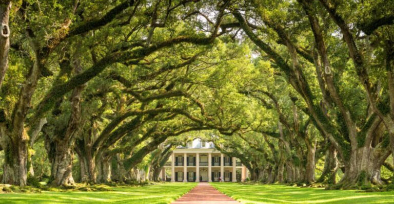 15 Antebellum Homes In The South You Shouldn’t Miss