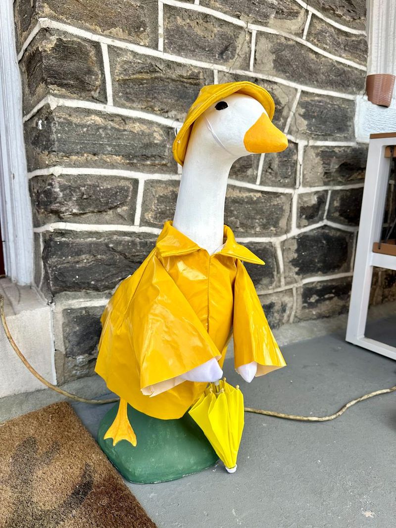 Ducks, Ducks Everywhere