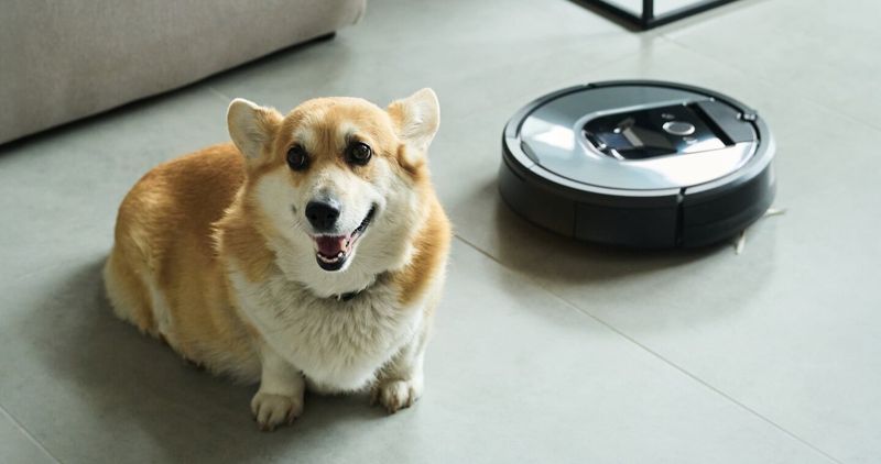 Robot Vacuum That Actually Works