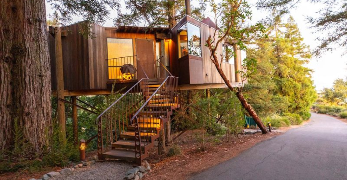 15 Treehouse Homes in America That Take Living to New Heights
