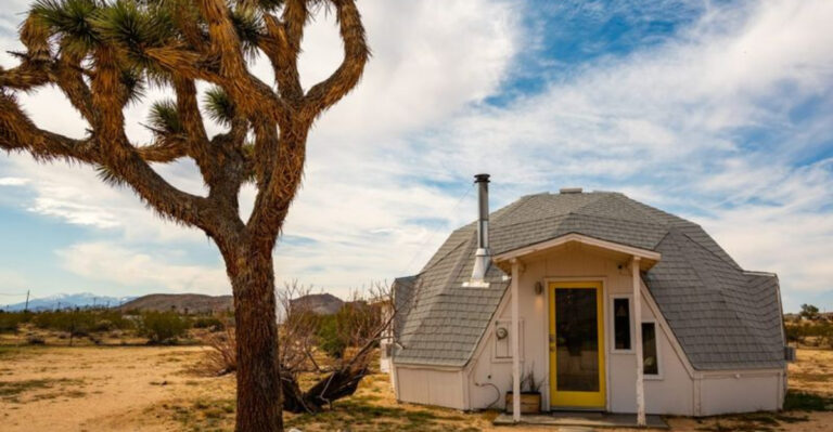 16 Of The Best Spacious Tiny Homes You’ll Love