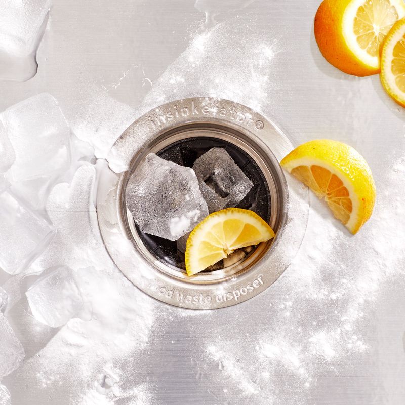 Forgotten Garbage Disposal