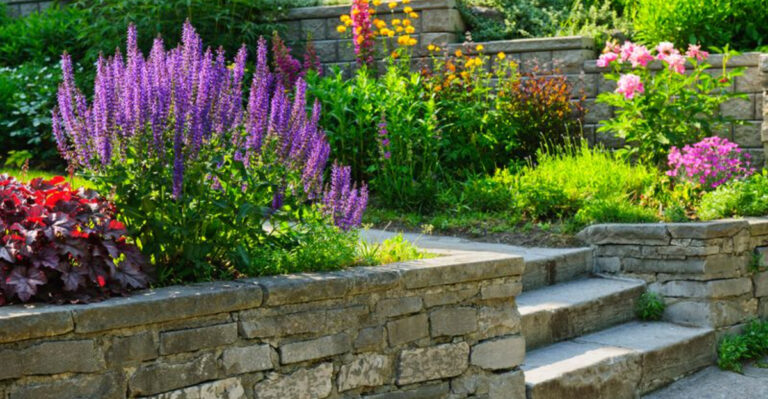17 Small Backyard Design Secrets That Will Make Your Yard Feel Huge