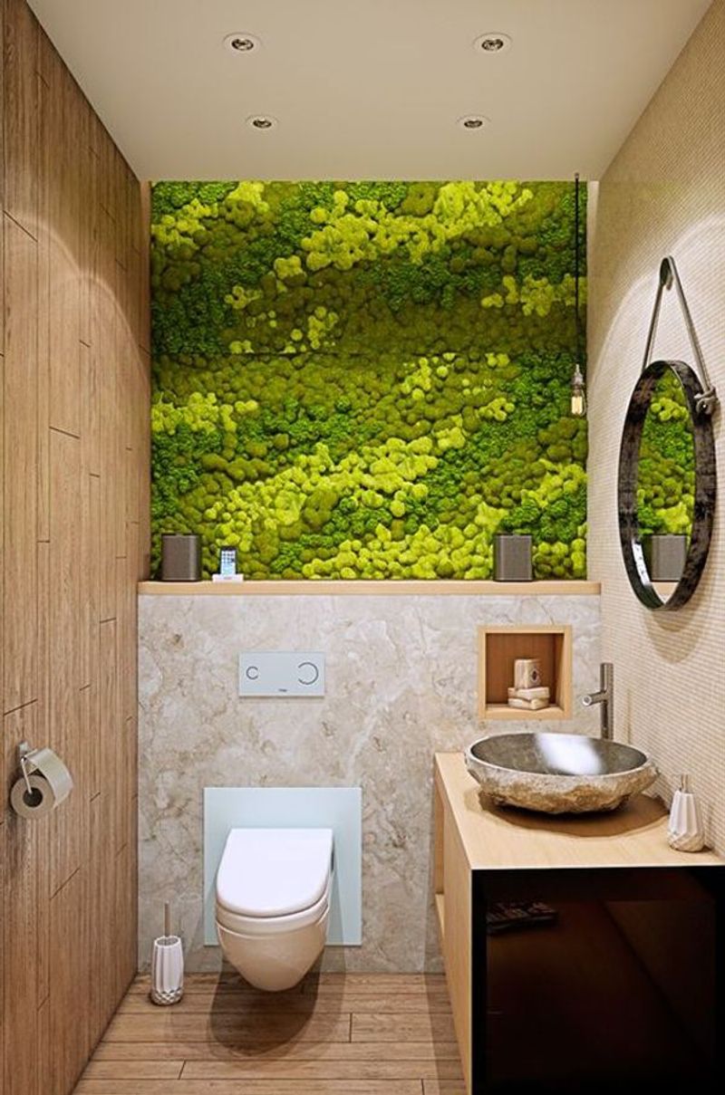 Biophilic Design Elements