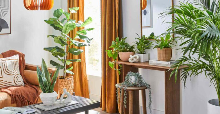 19 Simple Ways To Make A Small Space Look Layered and Personal (Not Cluttered)