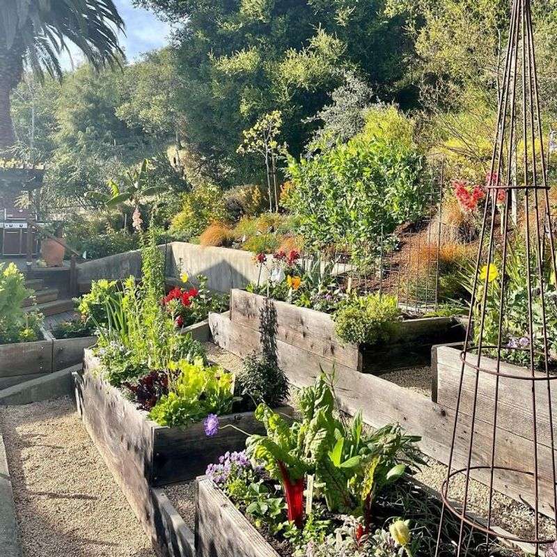 Lack Of Layered Plantings