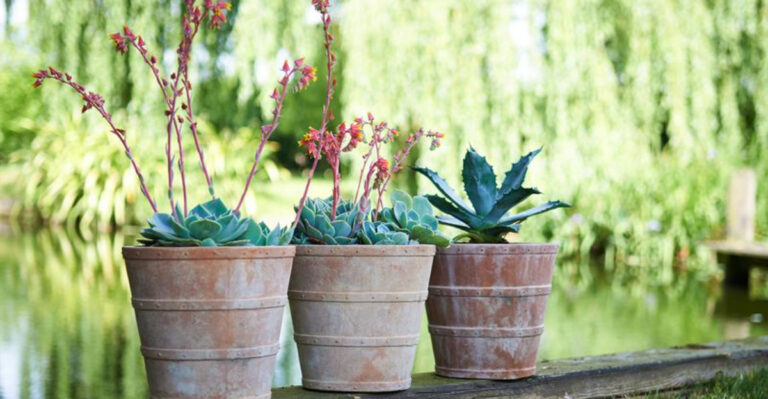 19 Ways To Make A Garden Look Older And Add Heritage Charm To Your Yard