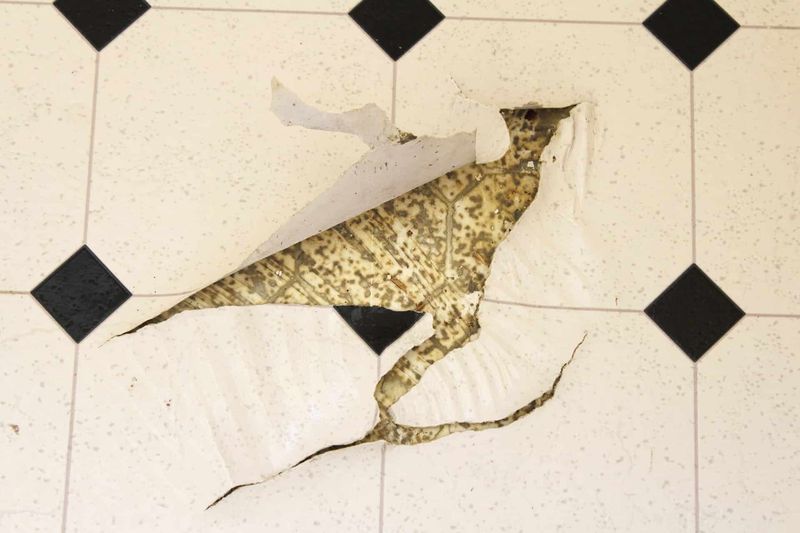 Easily Damaged by Sharp Objects