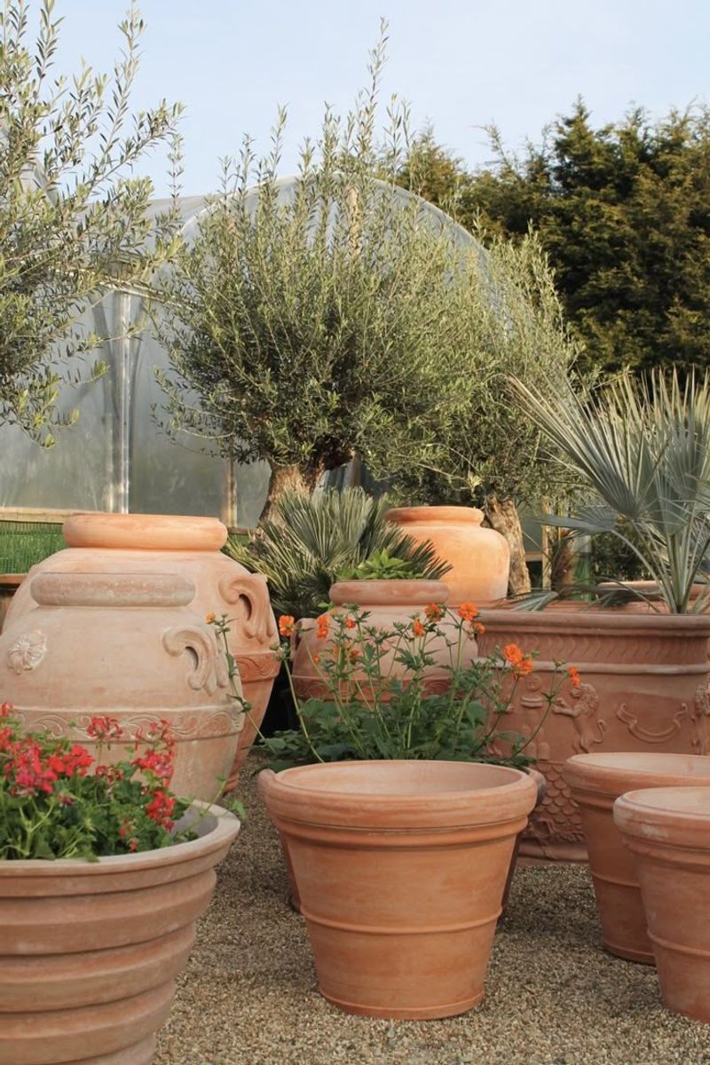 Terracotta Everywhere
