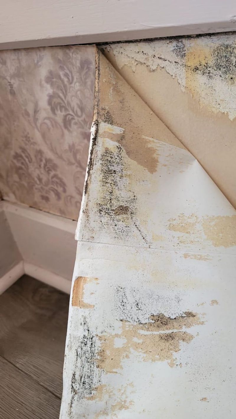 Vintage Wallpaper That's Peeling and Dated