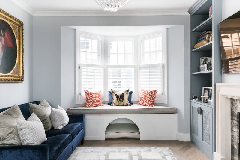 A Designated Pet Lounging Zone