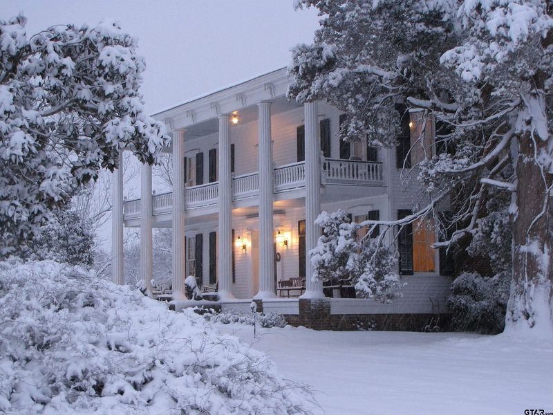 Blanketed in Snow, Wrapped in Stillness