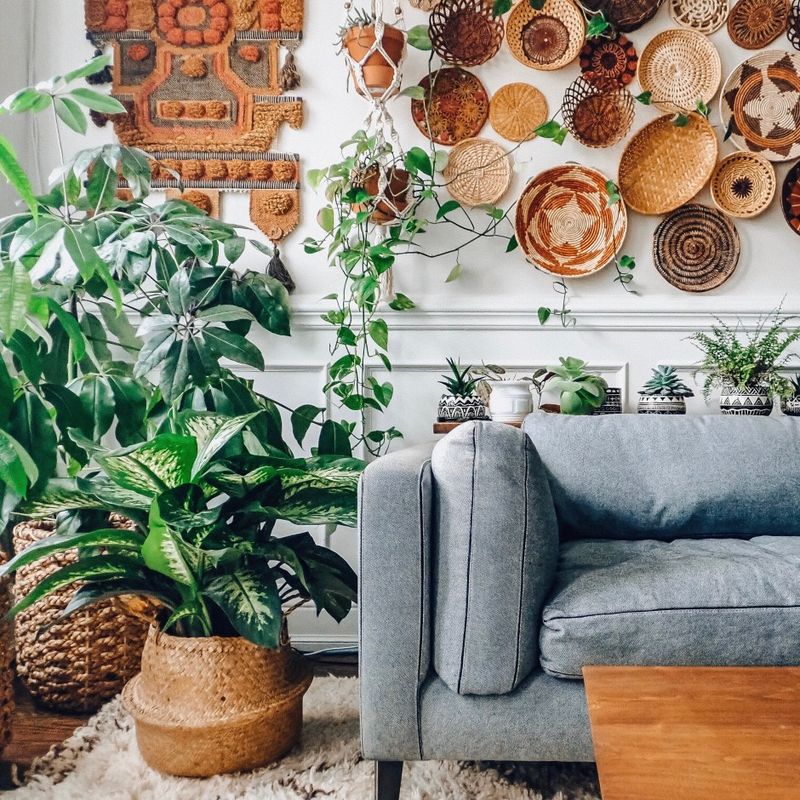 Instagram and Pinterest Popularity