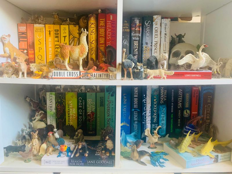 Showcase Collections