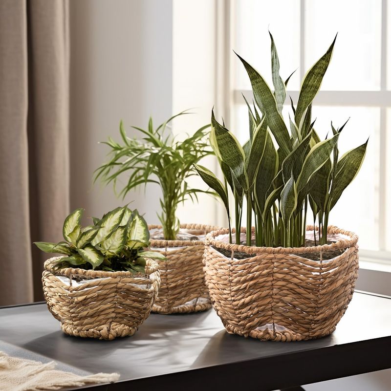 Perfect for Plant Parents