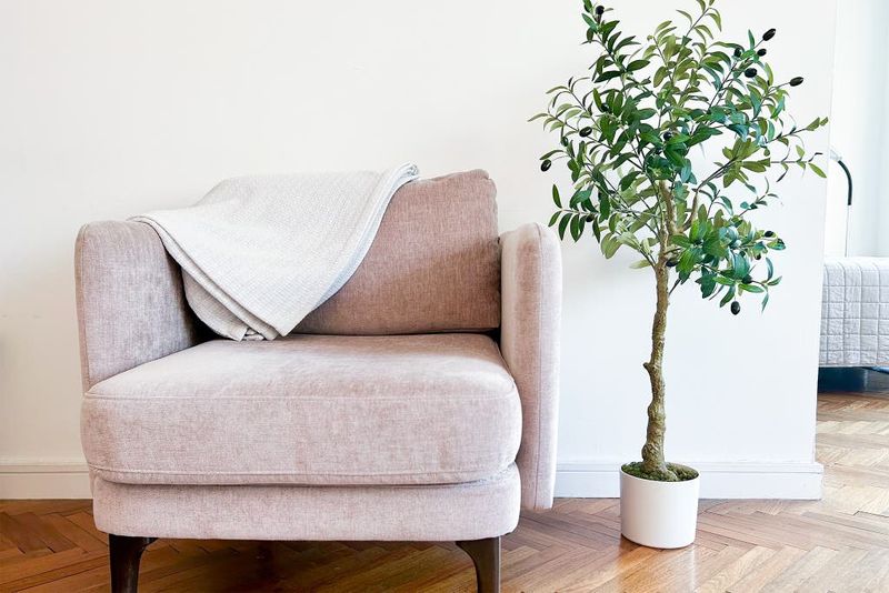 Fake Indoor Plants