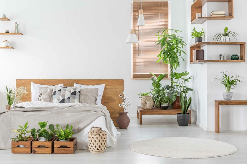 Fast Furniture