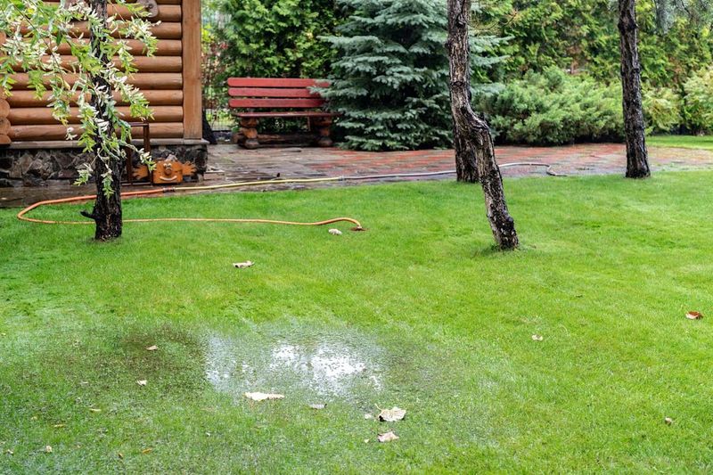 Water-Wasting Design