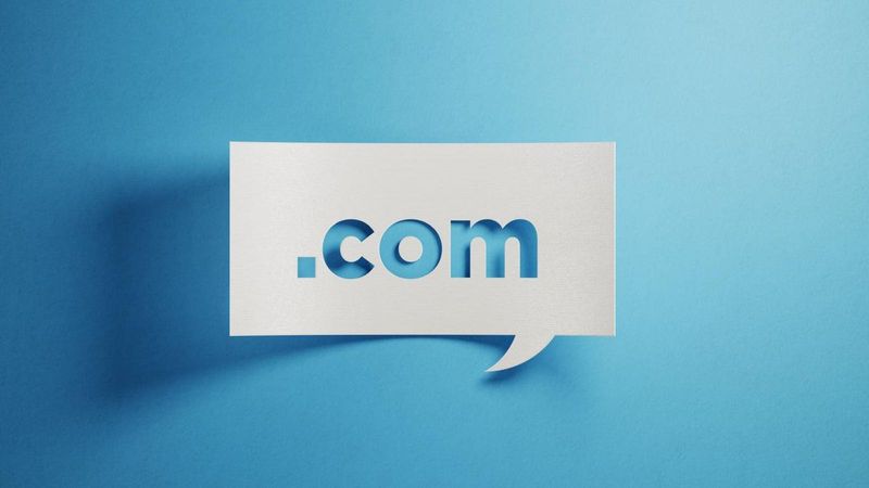 Unexpired Domain Names
