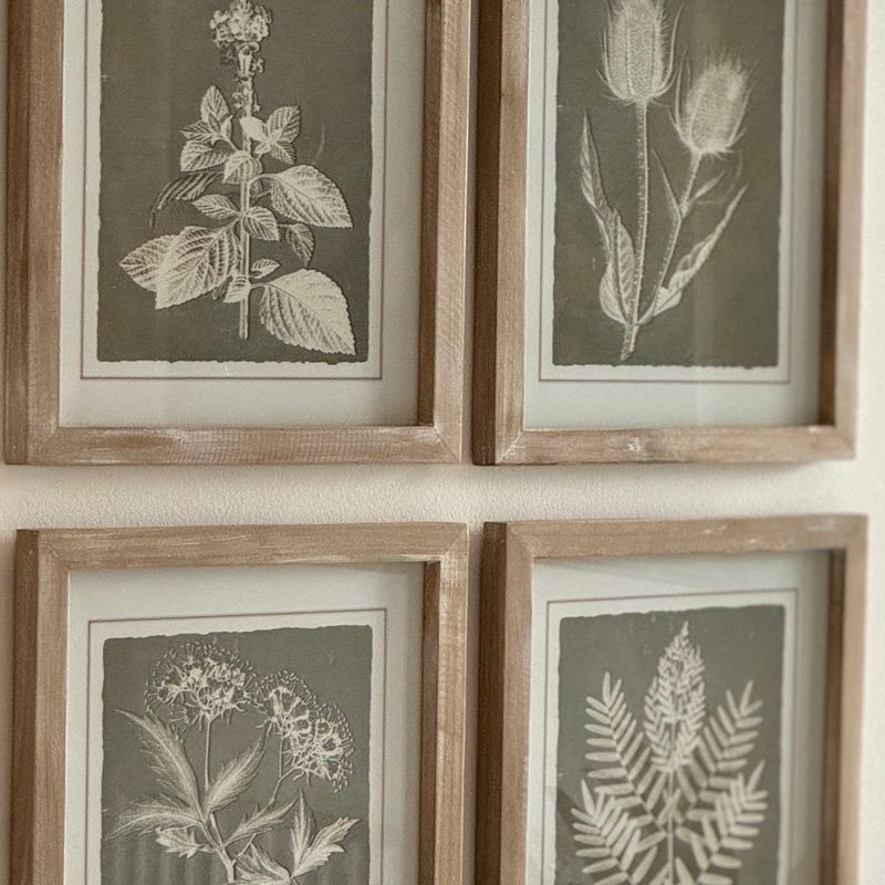 Framed Vintage Botanical Illustrations