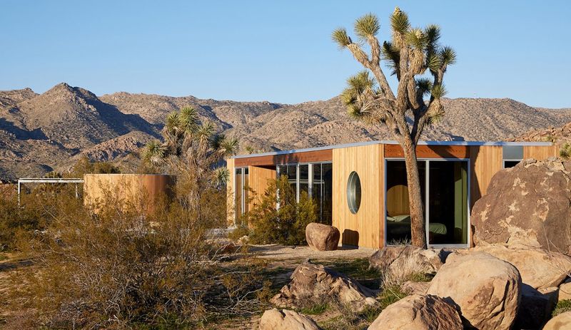 Desert Cooling Oasis
