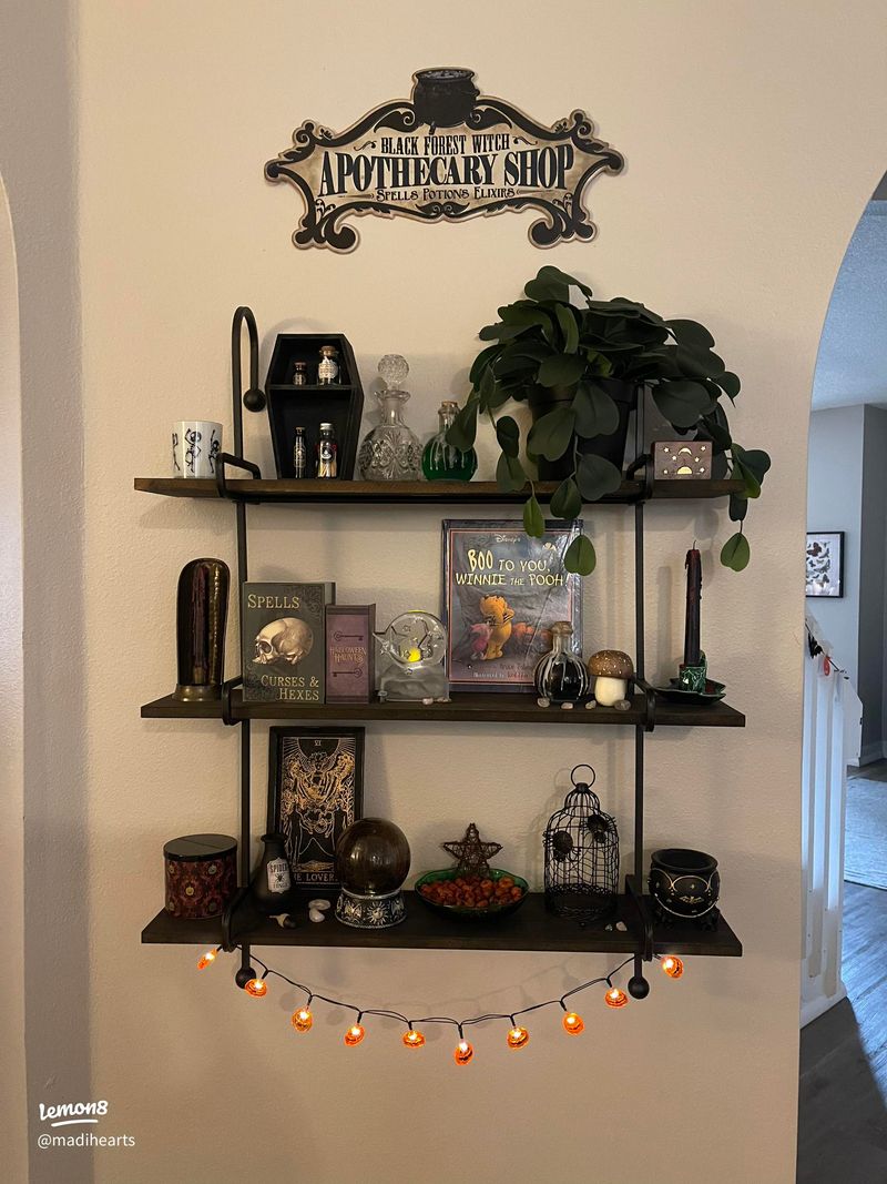 Enchanted Bookshelf