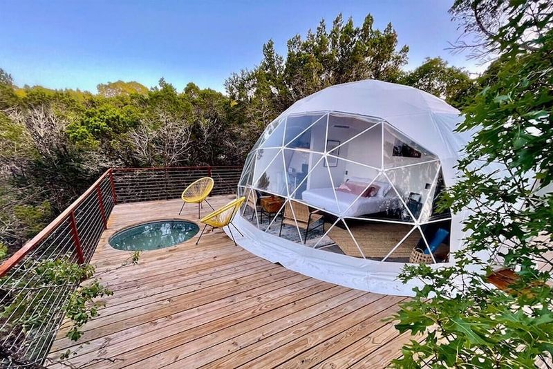 Bubble Tree Hotel: Transparent Treetop Treasures