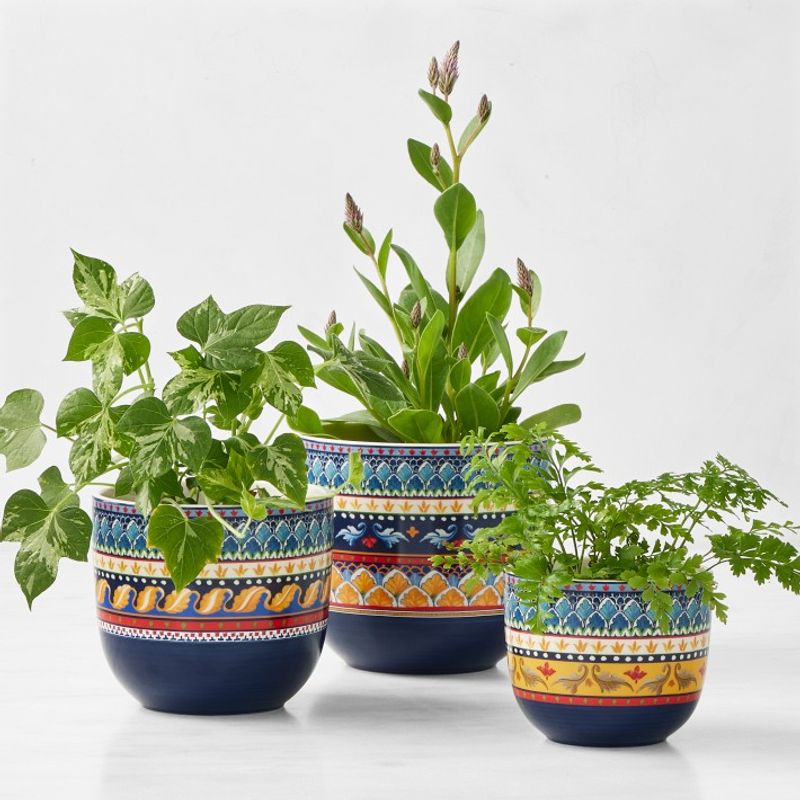 Mini Succulent Planters