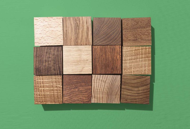 Wood Species Identification