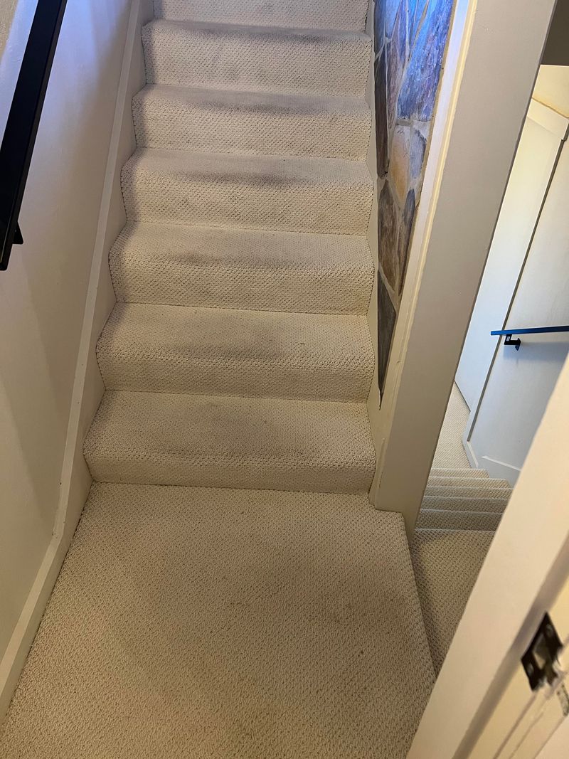 White Rugs For High-Traffic Areas