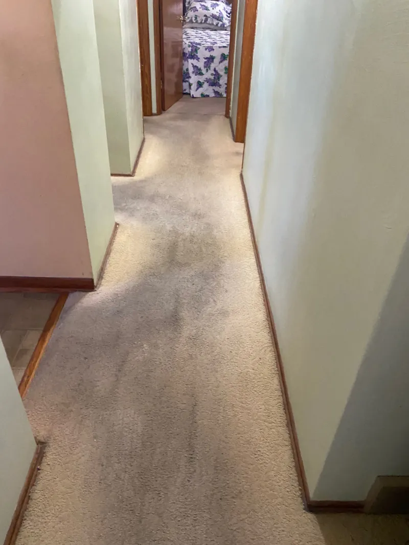Wall-to-Wall Carpeting