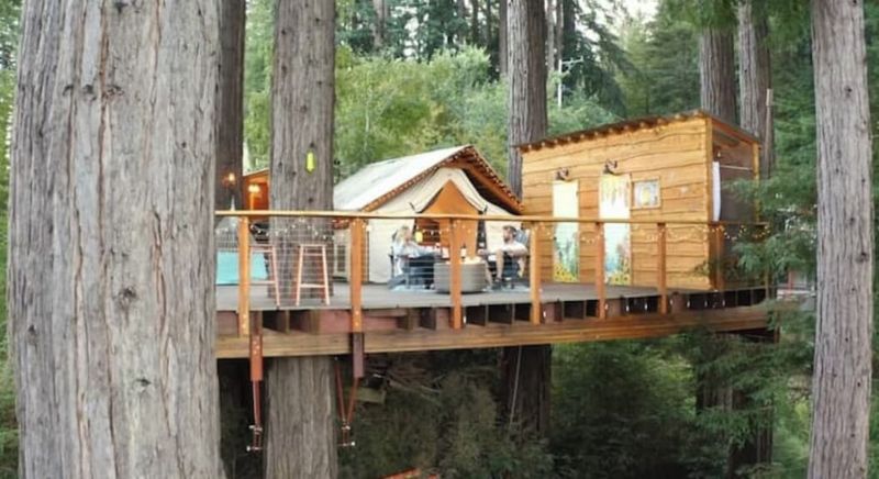 The Redwoods Nest in Santa Cruz