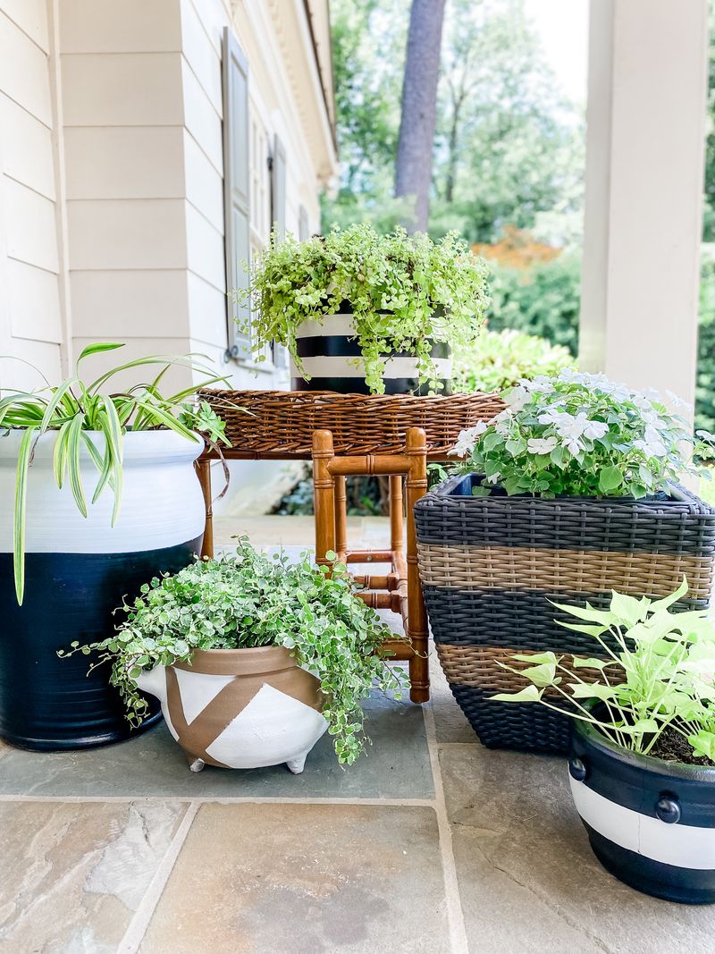 Mismatched Ceramic Planters