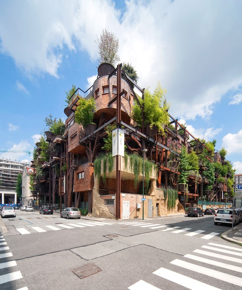 25 Verde's Urban Jungle