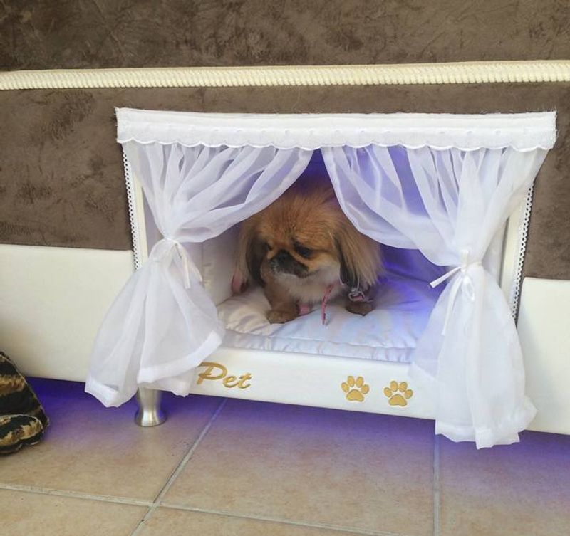 Pet Bed Enclosure