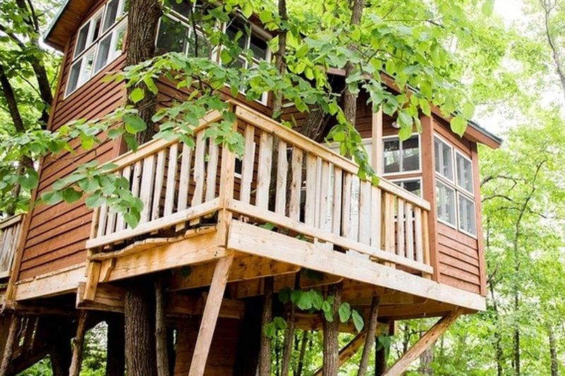 The Treehouse in Branson, Missouri
