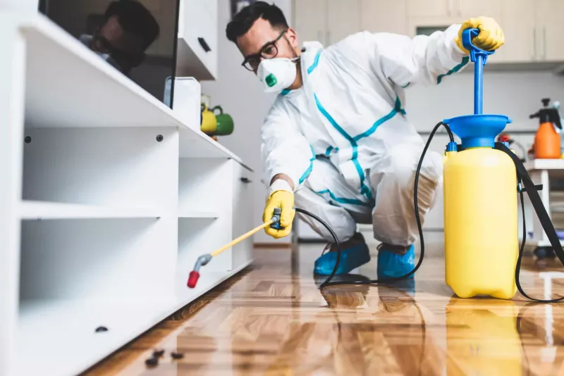 Extensive Pest Control