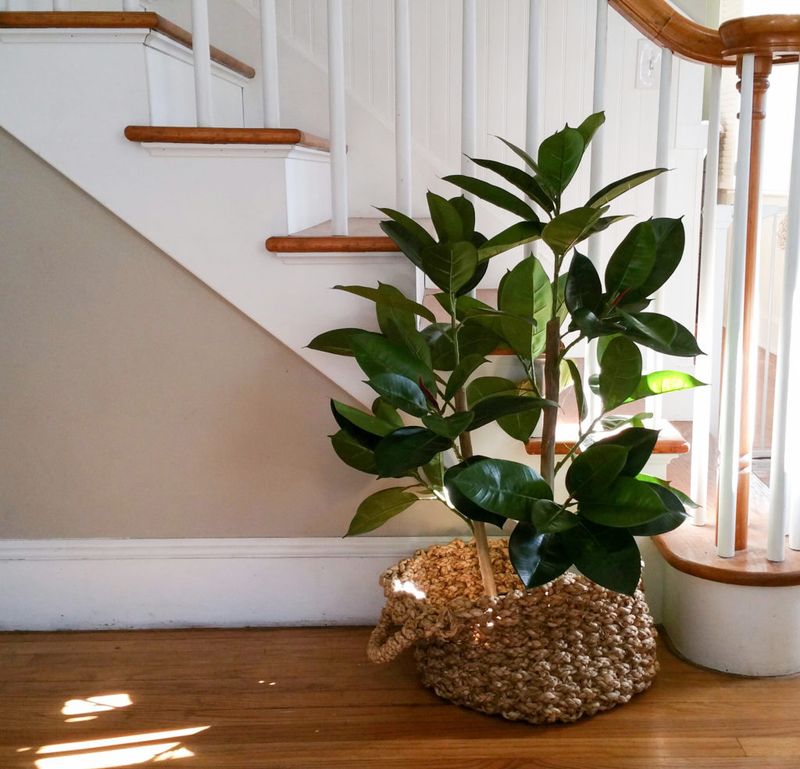 Fake Plants Overload