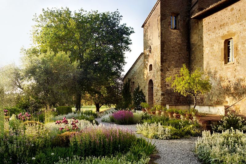 Mixed Border of Mediterranean Plants