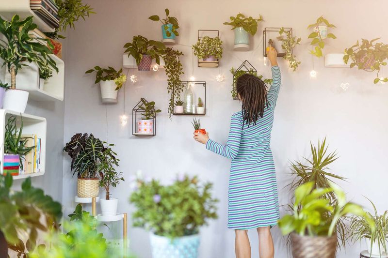 Strategically Place Houseplants