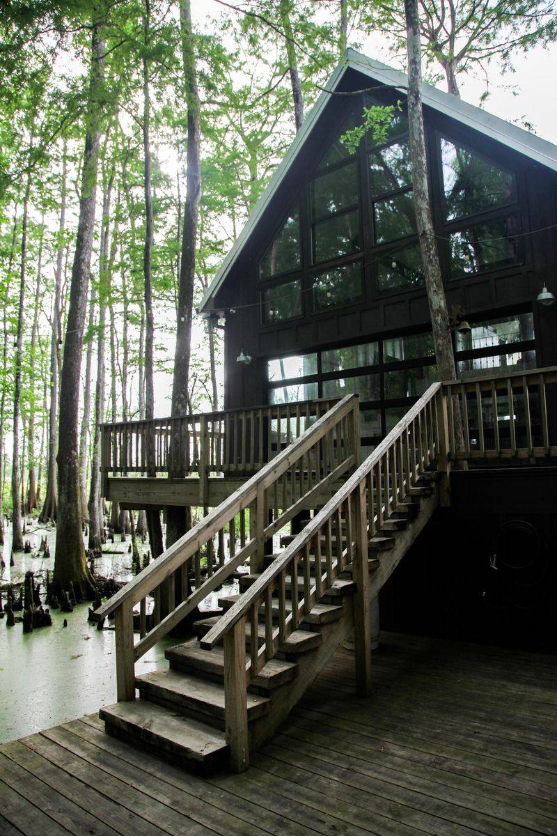 The Swamp Cypress Sanctuary