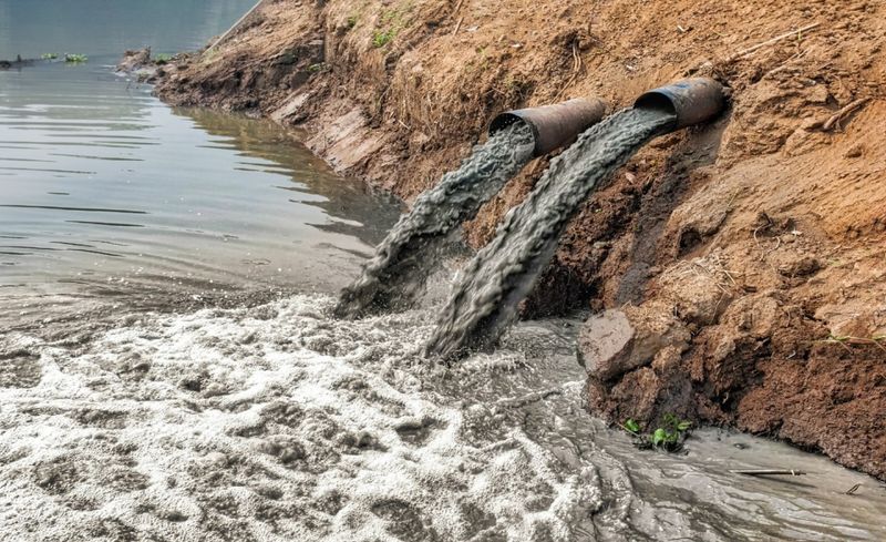 Environmental Impact