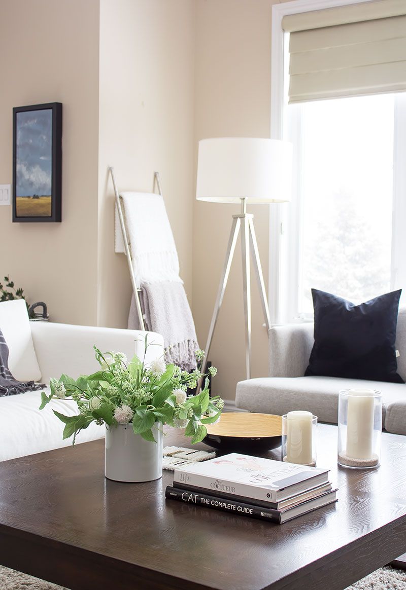 Builder Beige & White: The Landlord Special