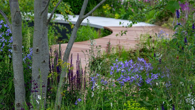Curved Gravel Pathways Lead To Hidden Discoveries